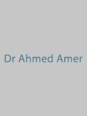 Dr Ahmed Amer